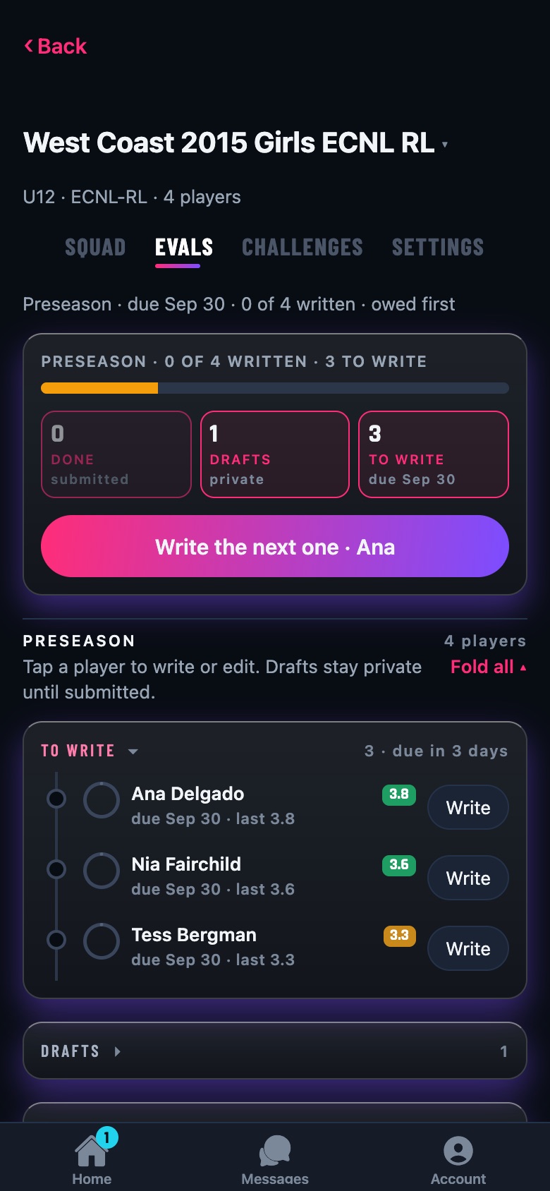 The team's Evals: Done, Drafts and To write